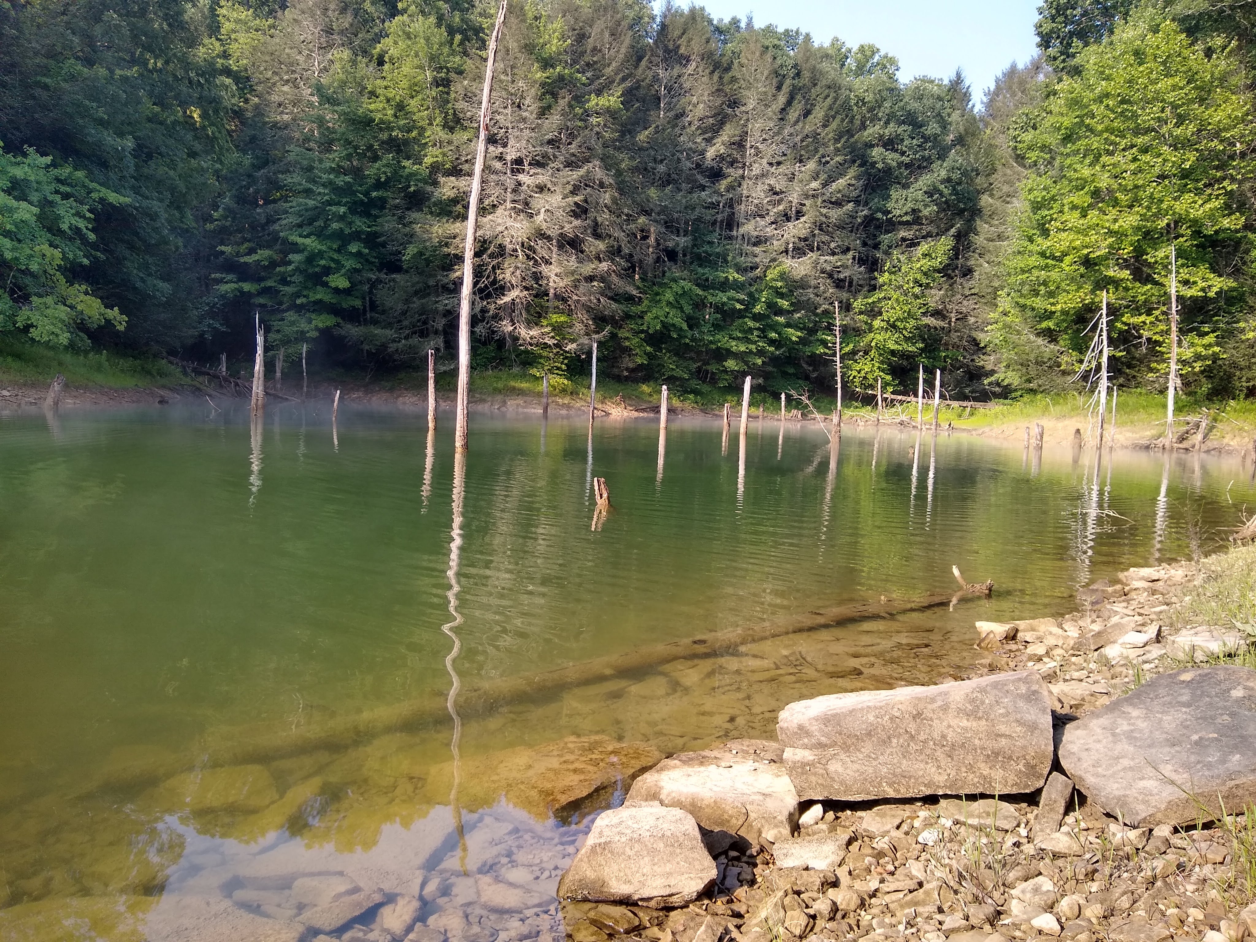 Cove in Cave Run Lake