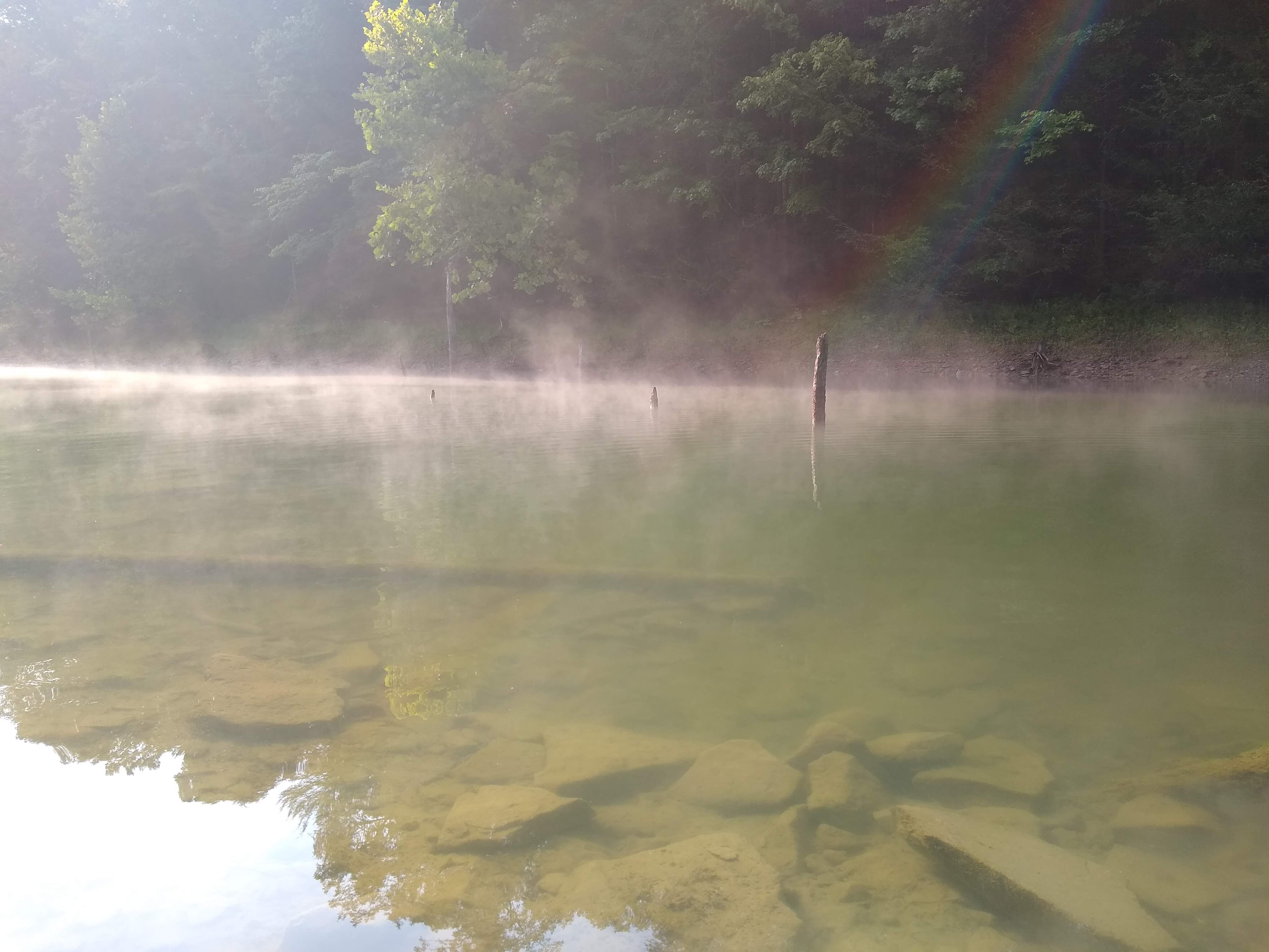 Cove in Cave Run Lake on a misty morning